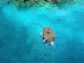 pokemon fishing wallpapers live 4k.mp4